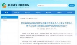 通江县最新爆料信息网,揭秘网络热点事件背后的真相