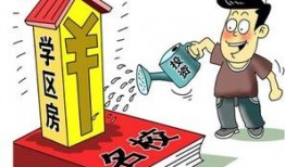 香港小学爆料案件最新,揭开校园安全隐忧的真相